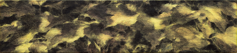 岡田浩志_Hiroshi Okada